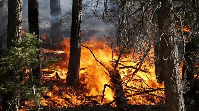 Revoca Stato di Massima pericolosità incendi boschivi dal 24/04/2020